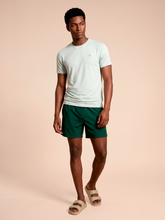 Lataa kuva gallerian katseluohjelmaan, Model Front: Uv Line T-Shirts Für Herren T-Shirt Uvpro Masc Light Green Upf50+
